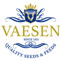 Vaesen