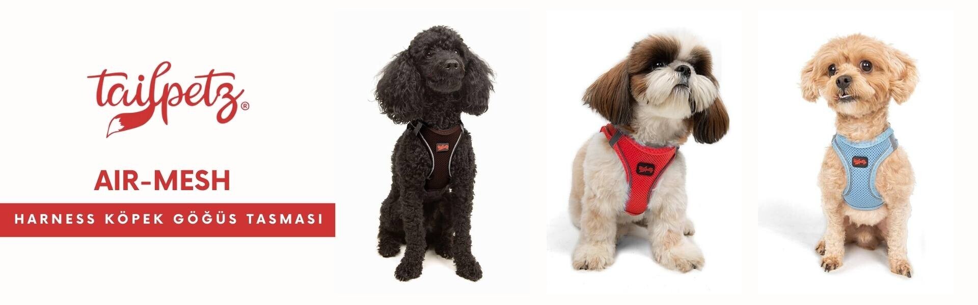 Konforlu Yürüyüşler ve Güçlü Bağışıklık