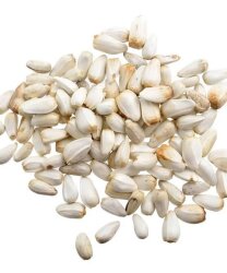 ASPİR ÇEKİRDEĞİ - FAUNABIRD