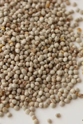 BEYAZ PERİLLA TOHUMU - 1