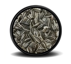 ÇİZGİLİ ÇEKİRDEK KÜÇÜK - FAUNABIRD