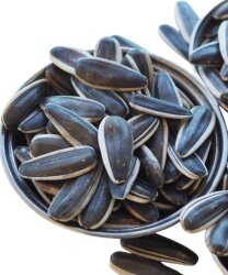 DAKOTA ÇEKİRDEĞİ - FAUNABIRD