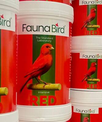 FAUNA BIRD İNTENSİVE RED - 1