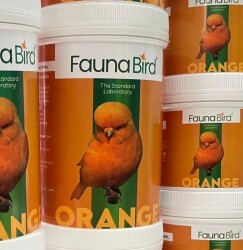 FAUNA BIRD ORANGE - FAUNABIRD