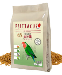 MİNOR - PSITTACUS