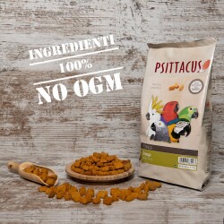 formula omega - 6