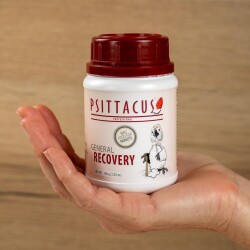 GENERAL RECOVERY - 1