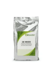 GR MICRO - 1