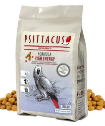 HIGH ENERGY - PSITTACUS