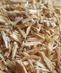 MASTER CİPS - MASTER CİPS