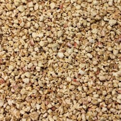 MISIR GRANÜRÜ - VIVID BİRD