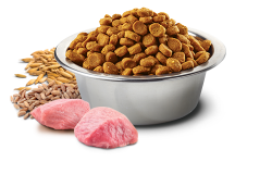 N & D A.GRAIN KUZU Y.MERSİN ADULT - 2