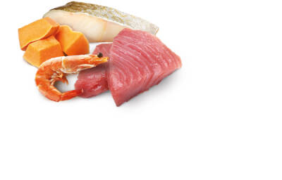 N & D CAT OCEAN TUNA,SHRIMP&PUMPKIN KITTEN 70 GR - 2