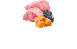 N & D KEDİ KUZU, BALKABAĞI YABAN MERSİNİ 70 GR - 2