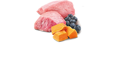N & D KEDİ KUZU, BALKABAĞI YABAN MERSİNİ 70 GR - 2