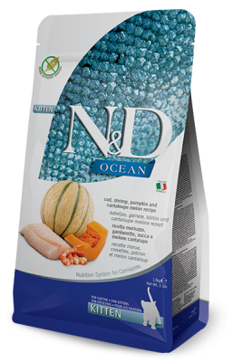 N & D OCEAN BK MORİNA KARİDES KAVUN [KITTEN] - 1