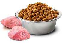 N & D PUMPKIN KUZU Y.MERSİN (KISIR) - 2