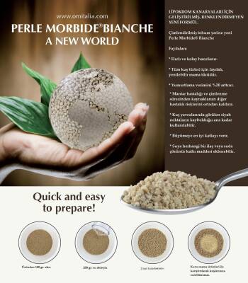 ORNITALIA PERLE MORBİDE BIANCHE - 3