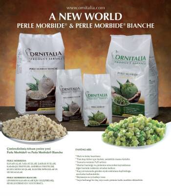 ORNITALIA PERLE MORBIDE - 3