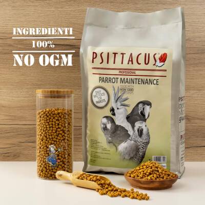 Parrot Maıntenance - 2