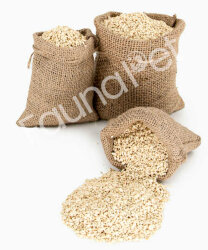 RUSK KOVA - VIVID BİRD