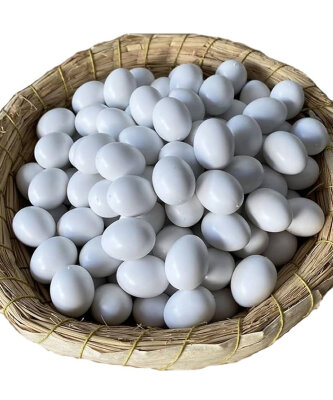 SAHTE YUMURTA BEYAZ - Olc plastik