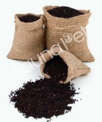 ŞALGAM TOHUMU - FAUNABIRD