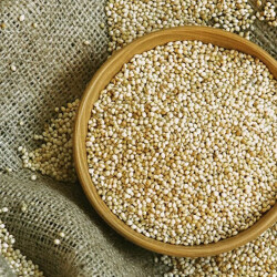 SARI DARI - FAUNABIRD