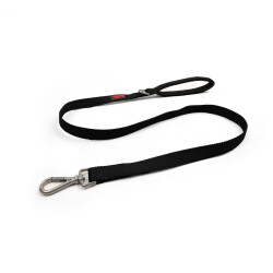 Tailpetz - 1