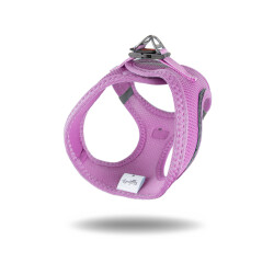 Tailpetz Air - 4
