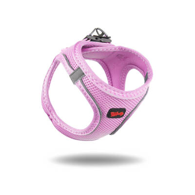 Tailpetz Air - 5