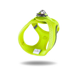 Tailpetz Air - 3