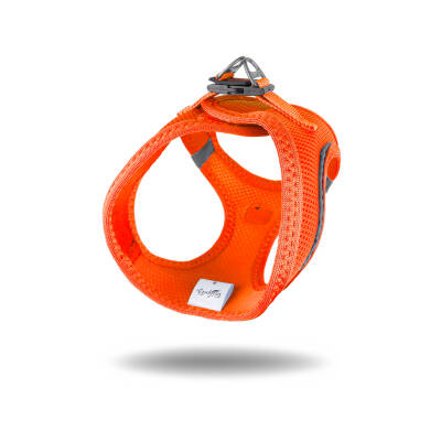 Tailpetz Air - 3