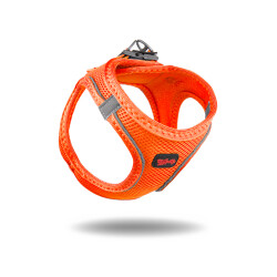 Tailpetz Air - 4