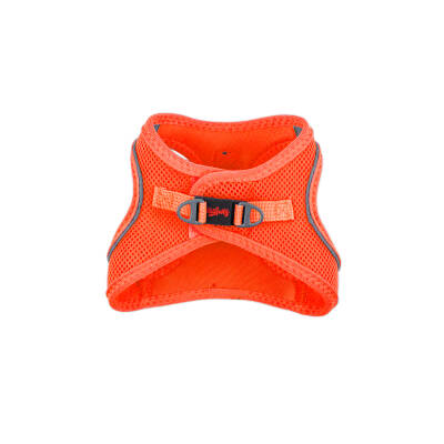 Tailpetz Air - 5