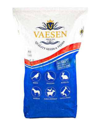 VAESEN BUDGIES 4S2 - 1