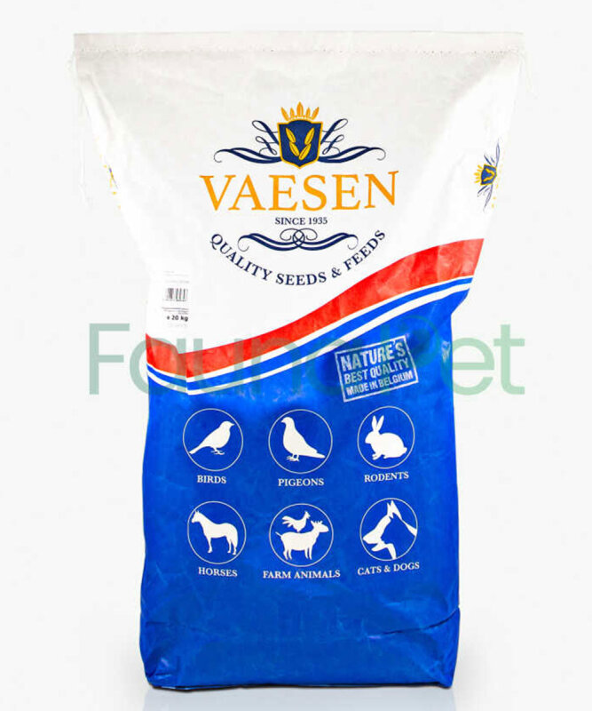 VAESEN BUDGIES B1 - 1