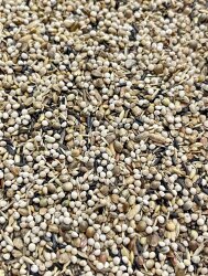 VAESEN GOLDFİNCHES 208 - 3