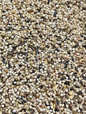 VAESEN GOLDFİNCHES 208 - 3