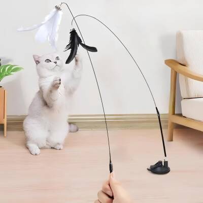 VANTUZLU TÜYLÜ KEDİ OLTA - 1