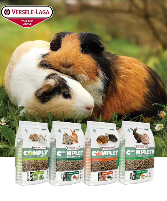 Versele Laga Cavıa Complete 500g - 4