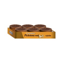 Versele Laga Colombıne Pıckstone Red 5+1 Güvercin Mineral Desteği 6*600gr - VERSELE LAGA