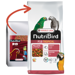 VERSELE LAGA NUTRIBIRD P19 TROPICAL PAPAĞAN PELET YEM - VERSELE LAGA