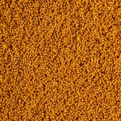 Wet & Dry Microspheres - 2