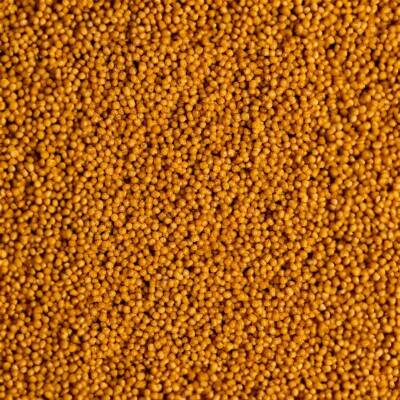Wet & Dry Microspheres - 2