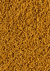 Wet & Dry Microspheres - 5
