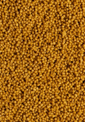 Wet & Dry Microspheres - 5