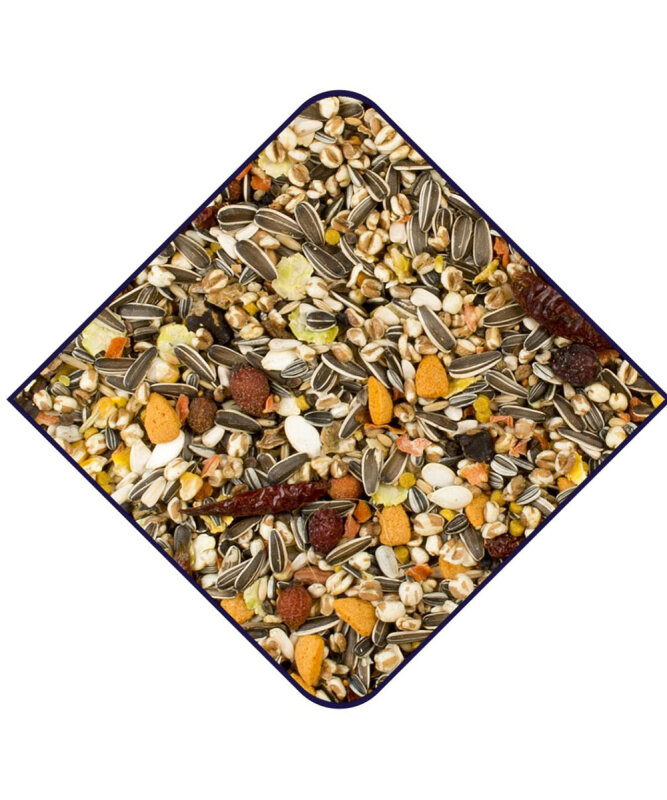 Witte Molen Premium Papağan Yemi 5 kg - 2